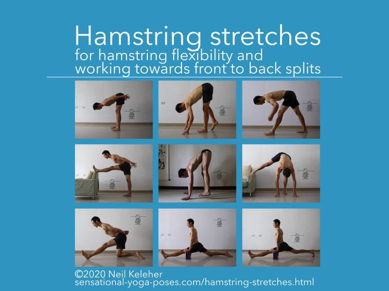 Hamstring Flexibility: Achieve It With Yoga Poses